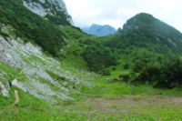 2014-07-24_OsterfelderKopf (367)b.JPG